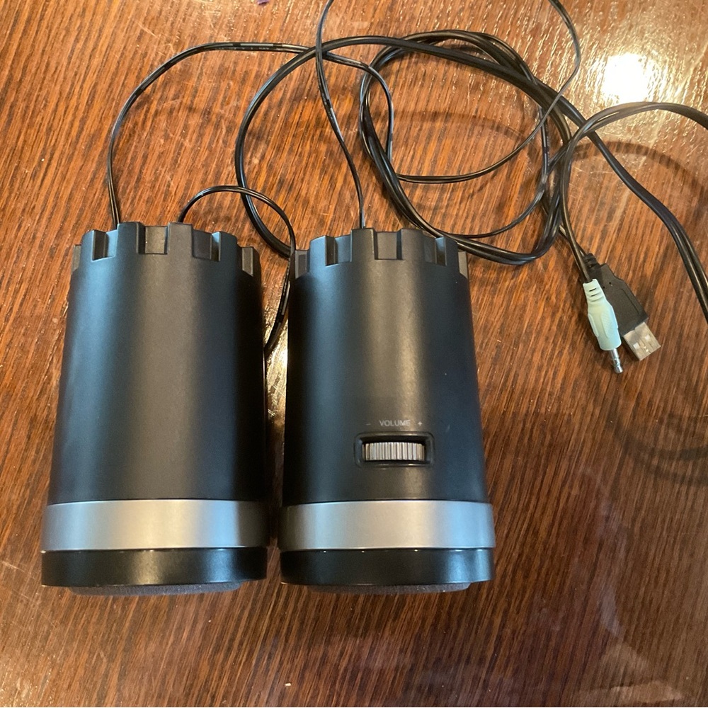 Dual Black and Silver Speakers